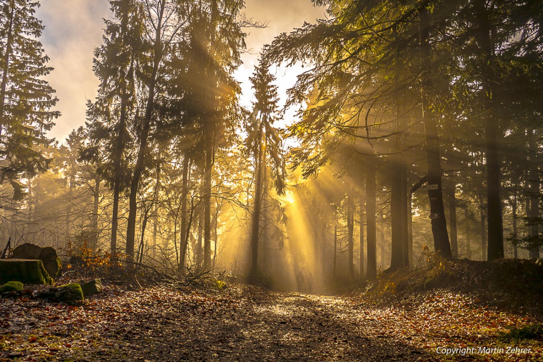 Foto: Martin Zehrer - Mit jedem Höhenmeter dringt auch die Sonne immer mehr durch den Nebel. Wandern zur Kösseine hoch, am 20. Dezember 2015 