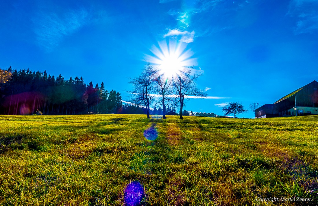 Foto: Martin Zehrer - Unglaubliche Farben - Herbst-Sonne-Power - 8. November 2015 und ca. 17 Grad warm. Fast könnte man meinen, es wird Frühling. Nicht nur in Godas schien die Sonne so "erbarm 