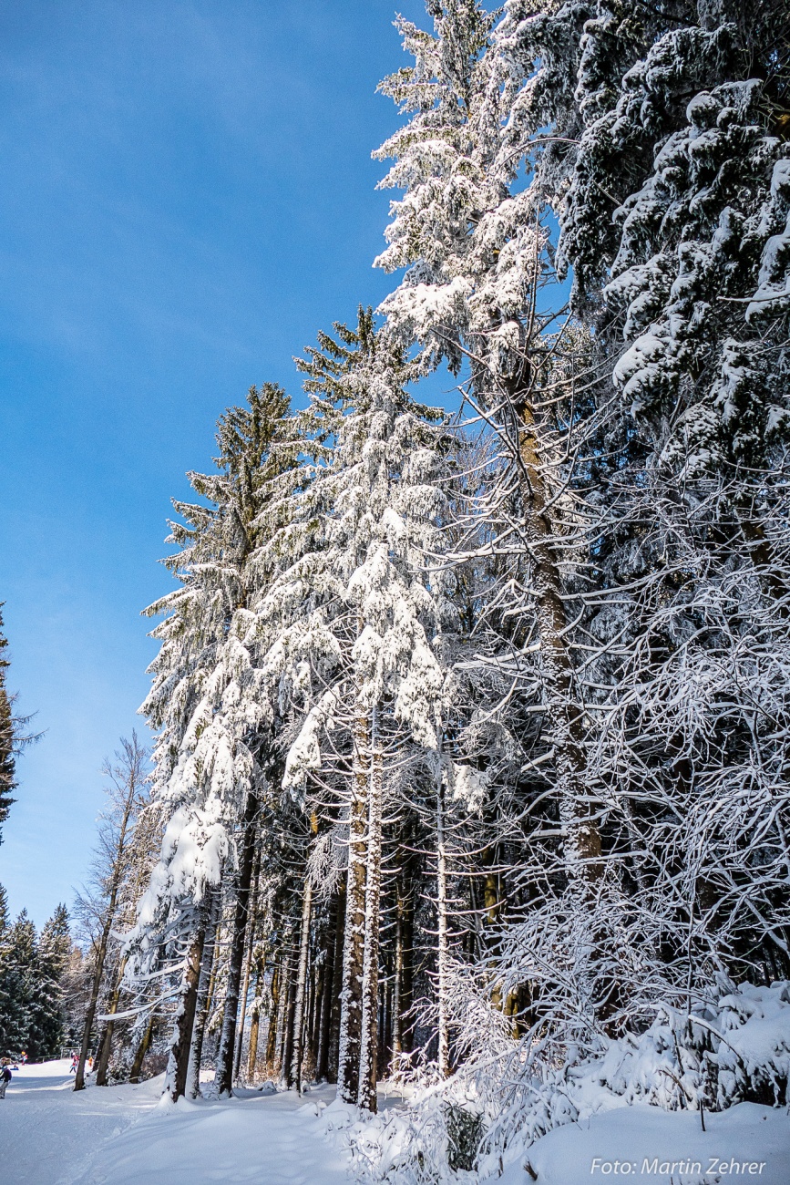 Foto: Martin Zehrer - Wunderbare Schneeverhältnisse am 6. Februar 2018 auf dem Ochsenkopf! 