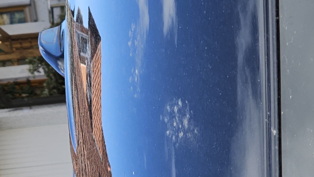 Marderschaden Mitsubishi Antenne