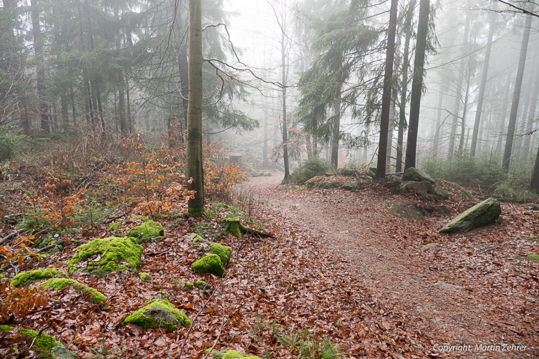 Foto: Martin Zehrer - Nebelwanderung zur Kösseine hoch... was wird uns da erwarten? 
