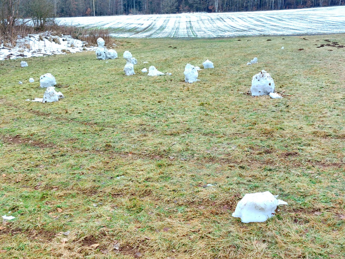 Foto: Martin Zehrer - Schnee-Skulpturen?<br />
 