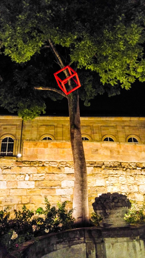 Foto: Martin Zehrer - Ungewöhnlich... rotes Quadrat im Baum 