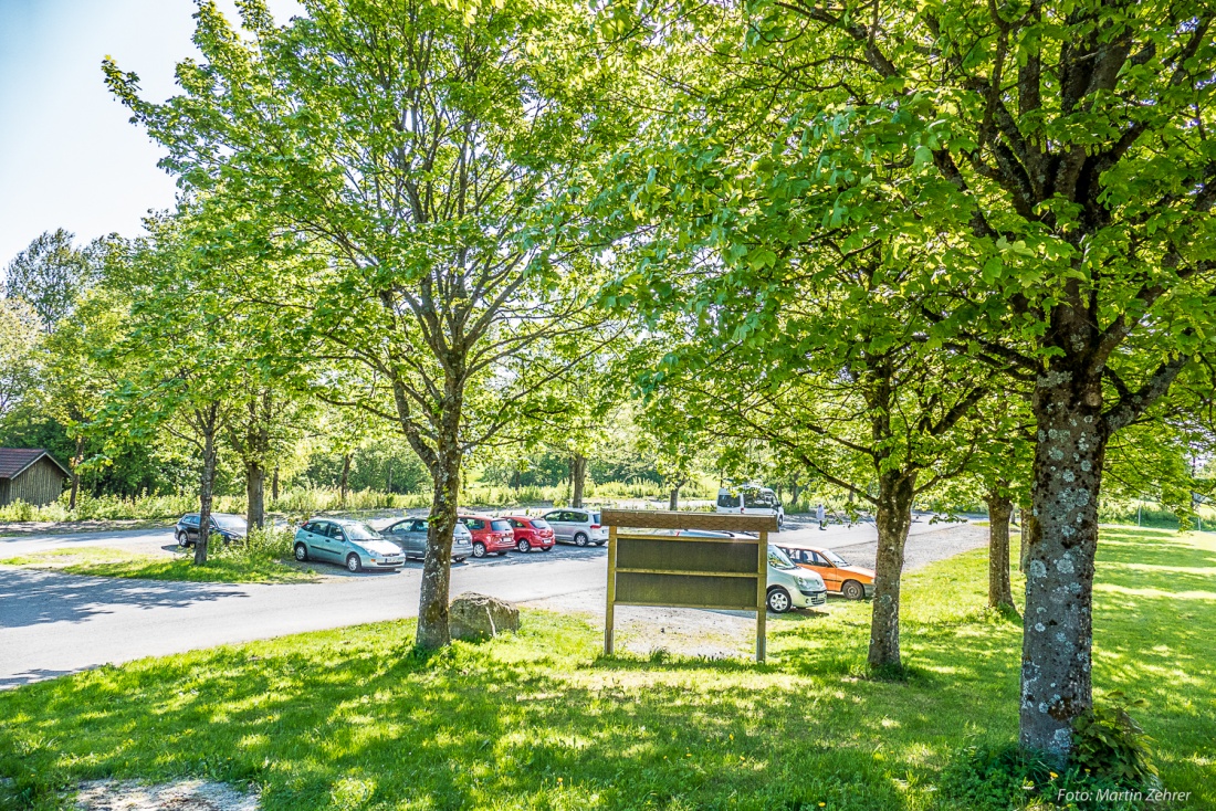 Foto: Martin Zehrer - Wanderung zum Oberpfalzturm von Pfaben aus. <br />
Hier befindet sich auch ein Parkplatz, von dem aus man nur wenige Meter bis zum Steinwald-Rand hat. 