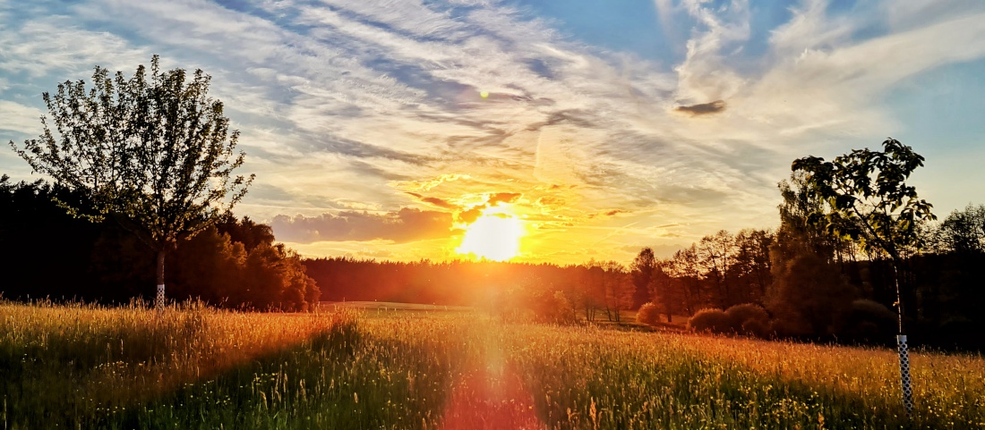 Foto: Jennifer Müller - Sonnenuntergang bei der Tauritzmühle... 