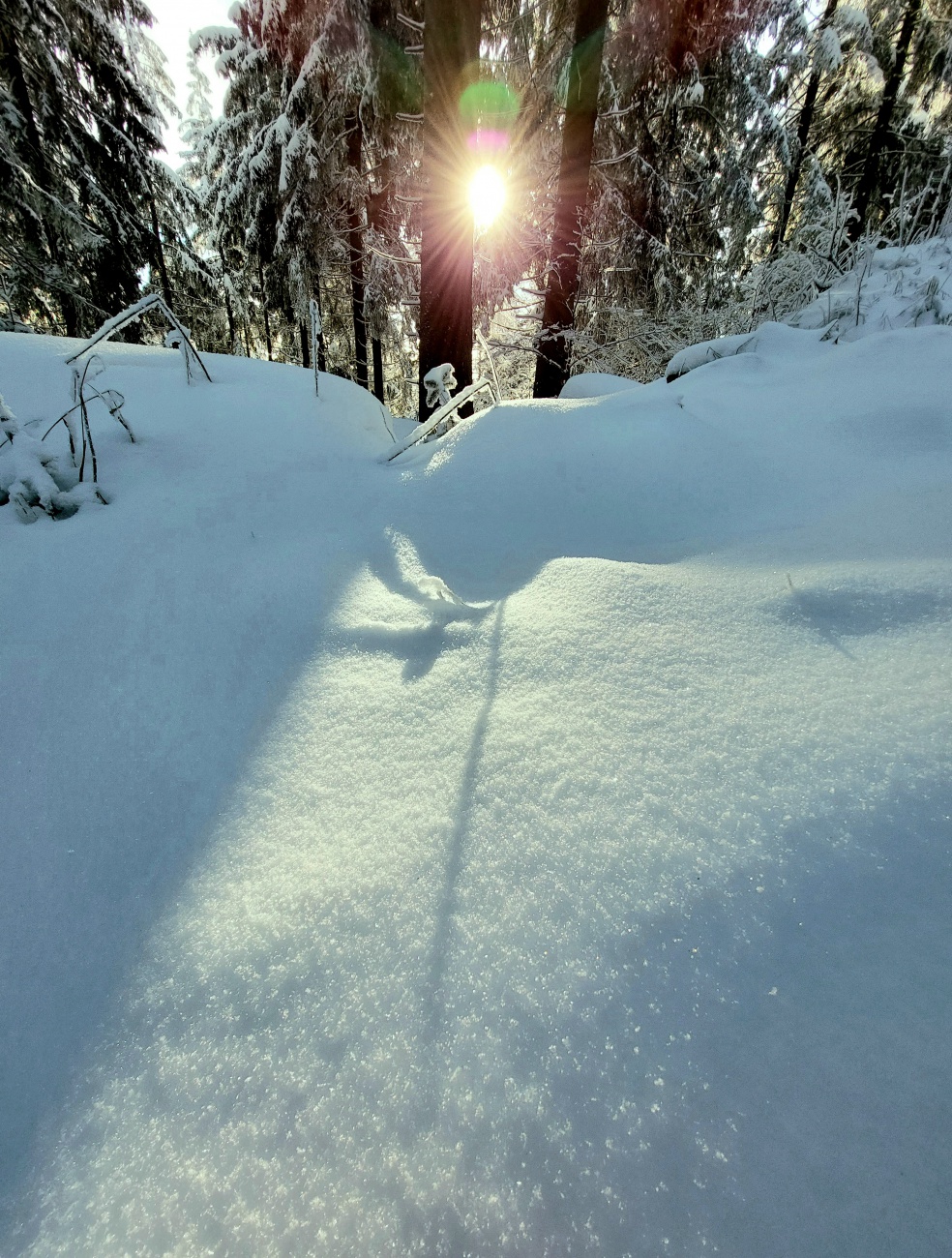 Foto: Martin Zehrer - Schatten-Spiele... 