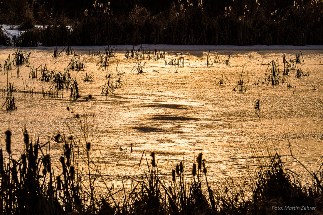Foto: Martin Zehrer - Sonnenstrahlen auf dem vermeintlichem Wasser - ist aber Eis... 
