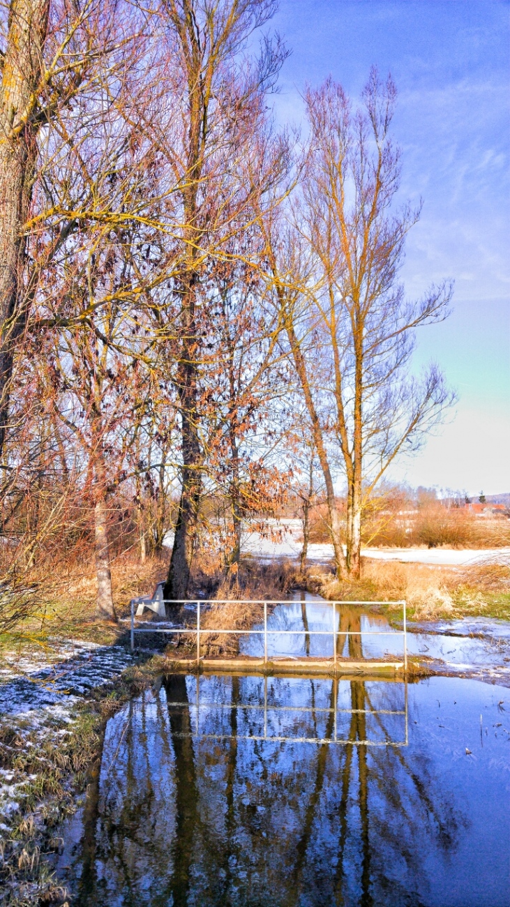 Foto: Martin Zehrer - Am kulmainer Stausee... Die vergangene Nacht hatte es ca. minus 8 Grad, das Wetter heute ist gigantisch. <br />
Wer hier her kommt, erlebt ein kleines Stückchen Paradies.<br />
Es  