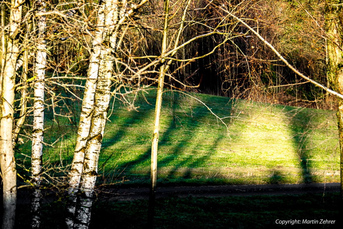 Foto: Martin Zehrer - Schatten-Spiele... Die Sonne stand schon ziemlich tief, da kamen die Schatten... 