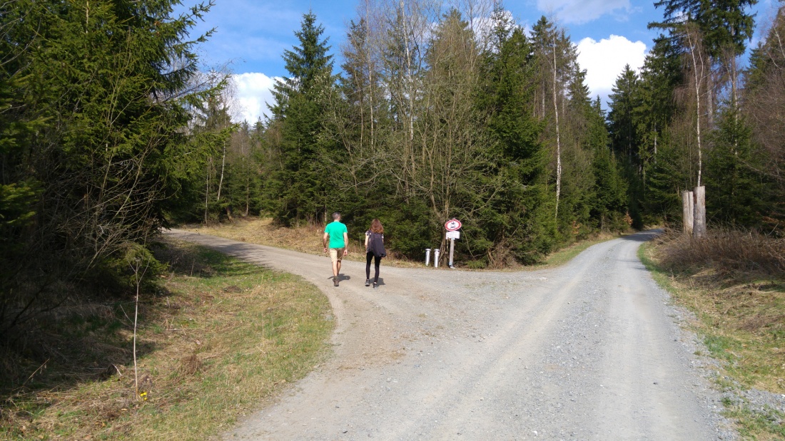 Foto: Martin Zehrer - Wandern von Kemnath, über Neusteinreuth zum Armesberg... Im Wald zwischen Neusteinreuth und Godas muss man mal links in einen kleineren Pfad einbiegen... 