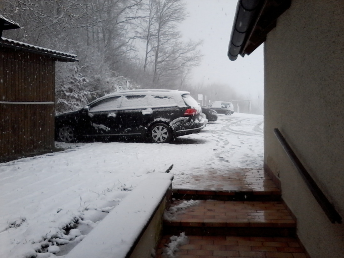 Foto: Martin Zehrer - Der erste Schnee, fotografiert am 12. November 2017 auf dem Armesberg.  