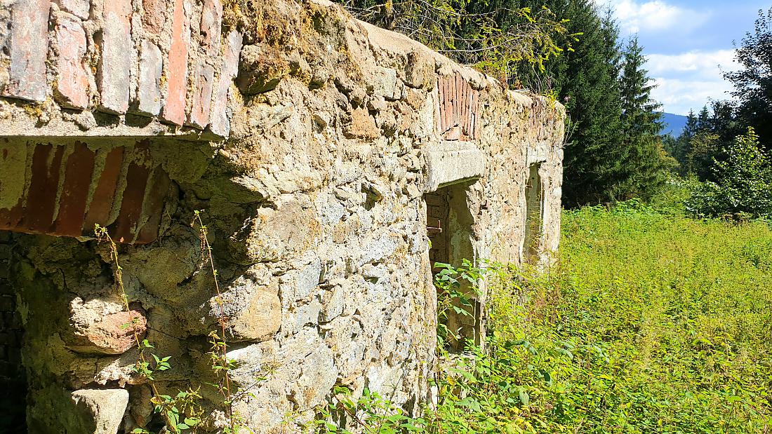 Foto: Martin Zehrer - Zissler-Haus, Ruine eines alten Bauernhauses im Zissler-Wald zwischen Godas und Zwergau....<br />
23. August 2020 