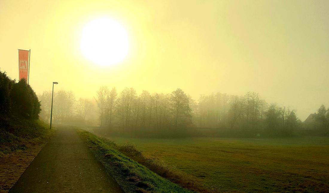 Foto: Martin Zehrer - Mit Mäuschen auf dem Weg zum ...Frühstück holen...<br />
Wetter: Nebelig und die Sonne leuchtet mit dem Dickicht um die Wette. <br />
Temperatur ca. -1 bis -2 Grad, die Wiesen und  