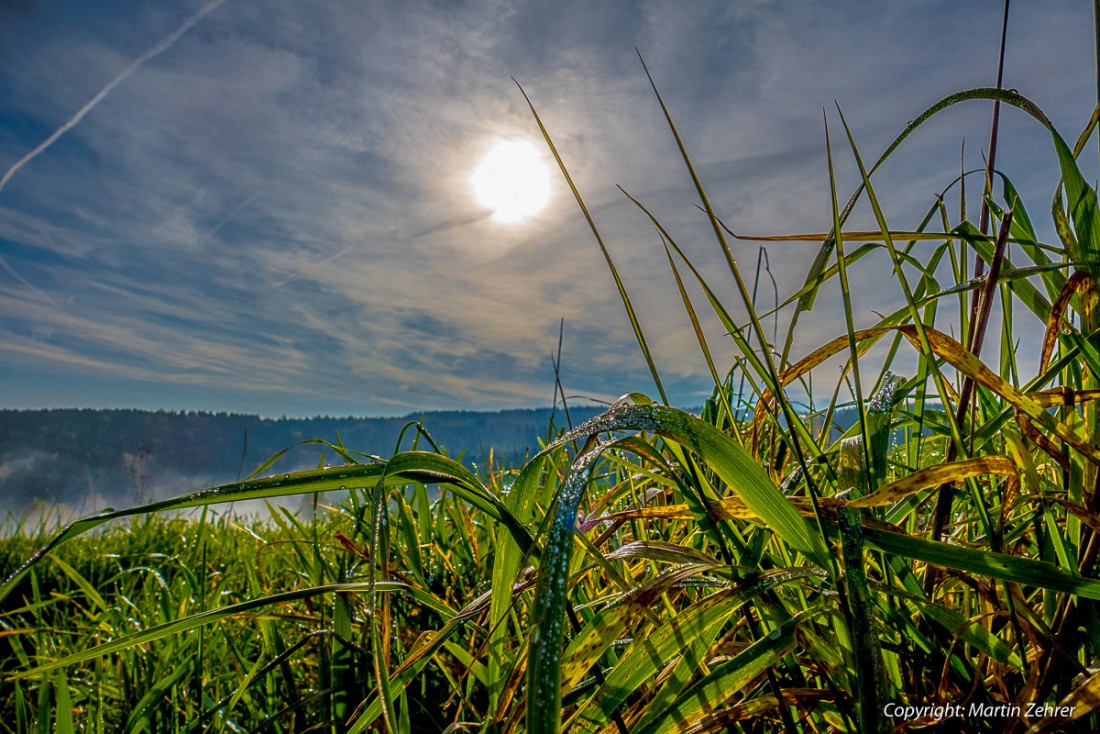 Foto: Martin Zehrer - Herbstfoto am 24. Oktober 2015, vormittags... 