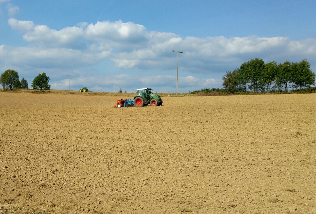 Foto: Martin Zehrer - Ein Fendt beim Sähen Nähe Lochau 