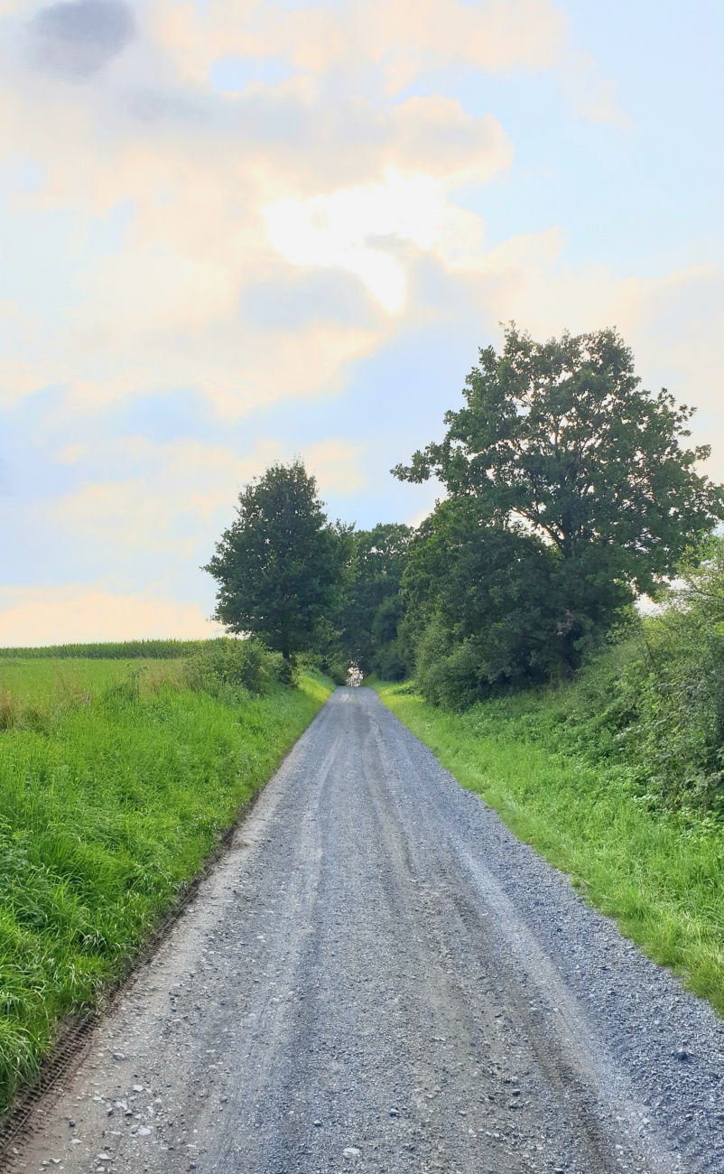 Foto: Martin Zehrer - Eine Runde wandern... Kemnath - Anzenberg und zurück... 