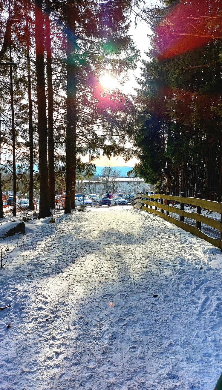 Foto: Martin Zehrer - Vom Fichtelsee zurück zum Pakplatz... die Sonne wartet. :-) 