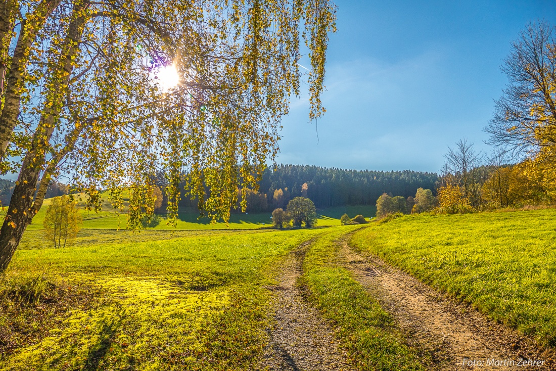 Foto: Martin Zehrer - Nur die Blattfarbe verrät, dass dieses Bild im Herbst geschossen wurde... es könnte auch der Frühling sein! Geniales Wetter! 14. Oktober 2017 