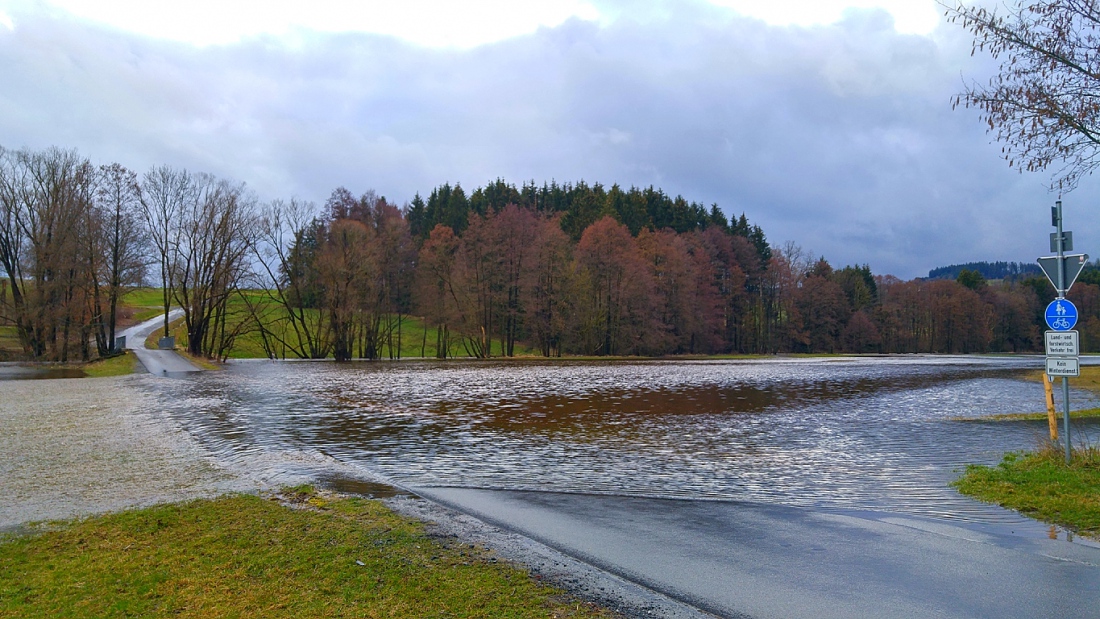 Foto: Martin Zehrer - Überschwemmtes Land... Die Fichtelnaab ist über ihre Ufer getreten...<br />
<br />
16. März 2019 
