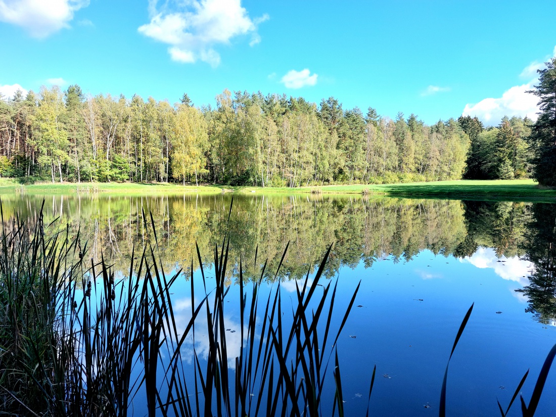 Foto: Martin Zehrer - Wandern zwischen Altensteinreuth und Eisersdorf... 