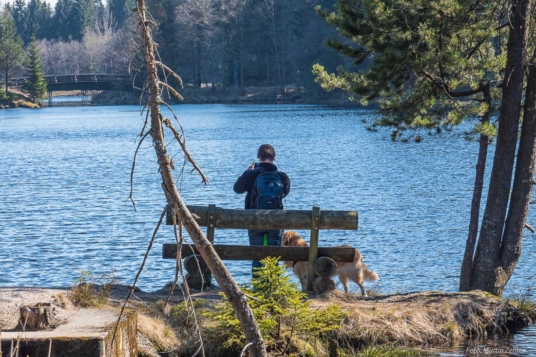 Foto: Martin Zehrer - Unterwegs am Fichtelsee mit dem besten Freund. <br />
<br />
 