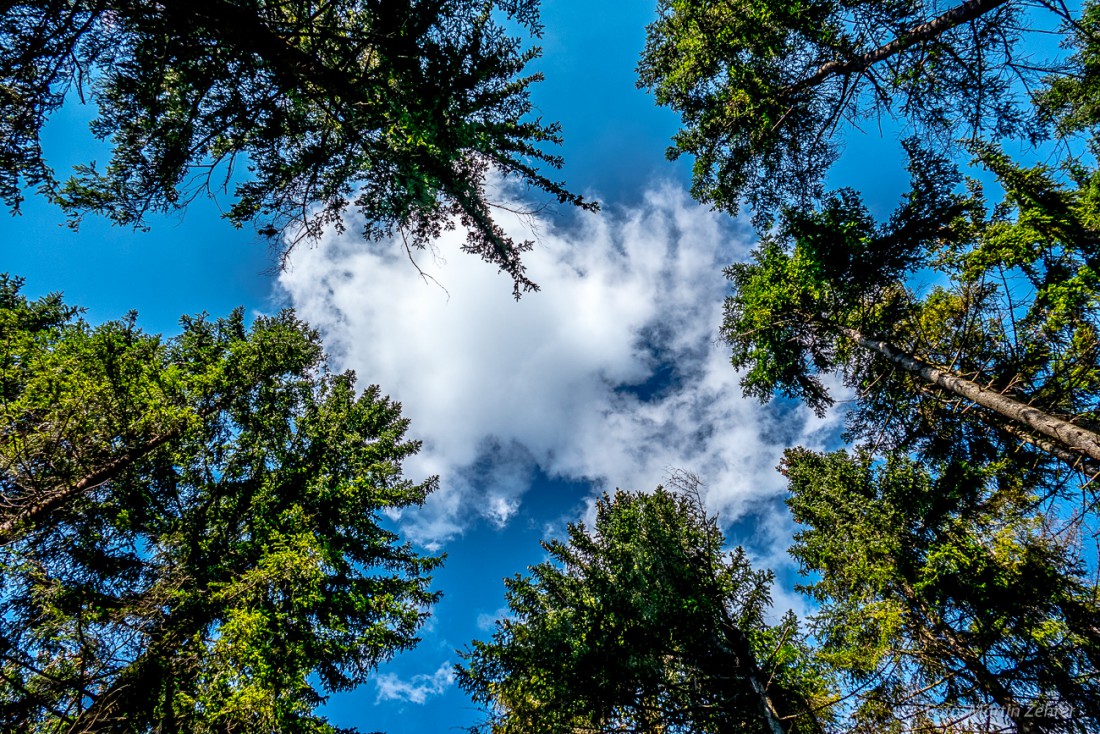 Foto: Martin Zehrer - Blick in den Himmel über dem Fichtelsee. Im Zentrum: Eine Wolke... 