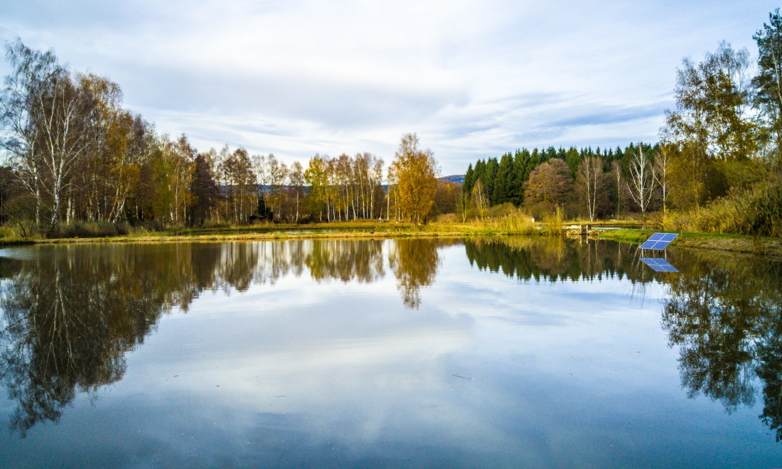 Foto: Martin Zehrer - Entspannte November-Ruhe am 21.11.2016<br />
<br />
... Ein Hauch von Frühling schwingt mit ;-) 