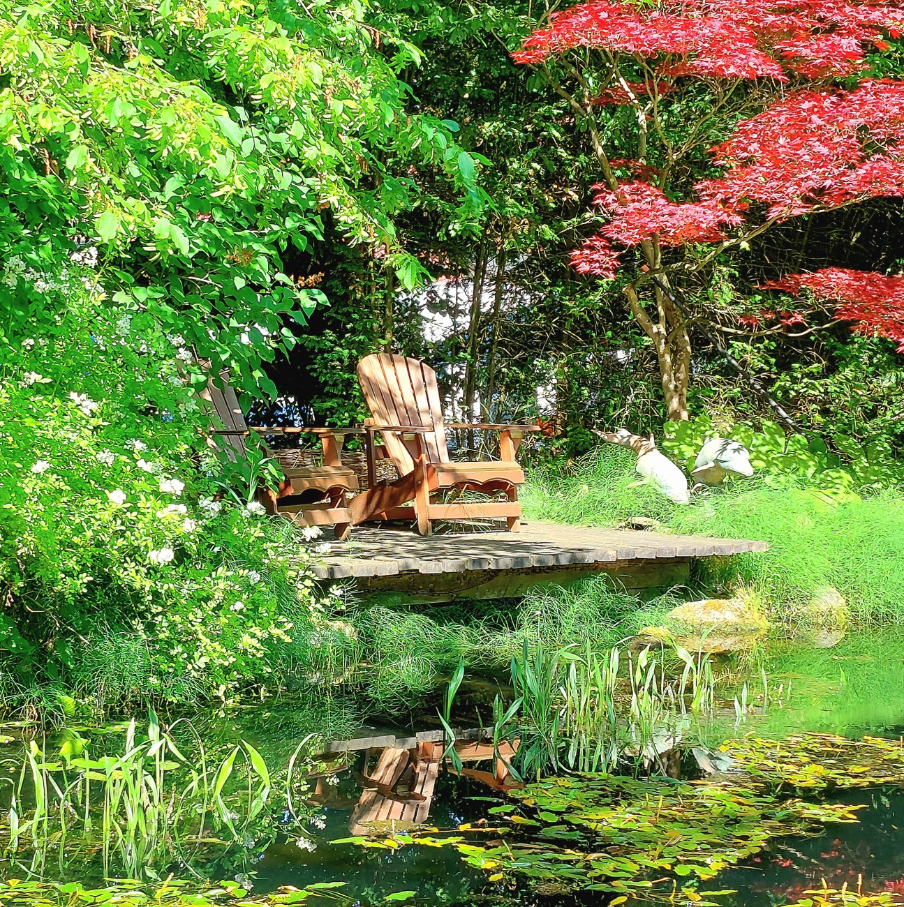 Foto: Martin Zehrer - Ruhe-Bankl am Teich...<br />
<br />
Tag der offenen Gartentür in Neusorg...<br />
<br />
Auf Entdeckungsreise im wunderschönen Garten-Paradies der Familie Gerhardinger-Dauber... 