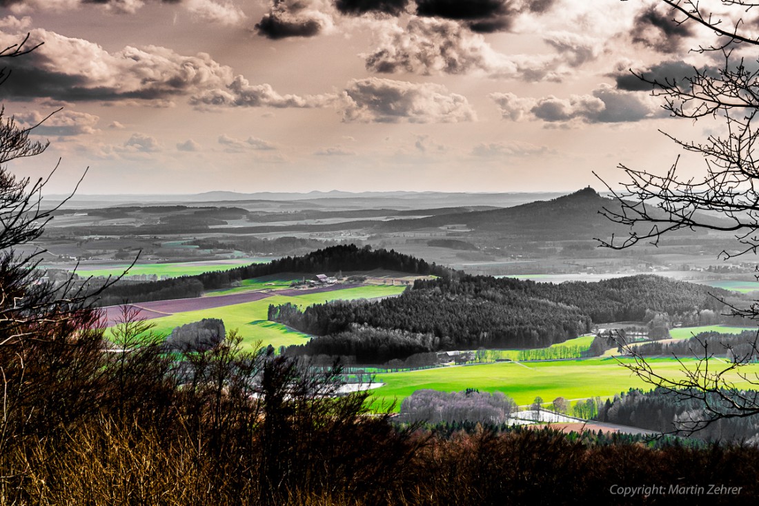 Foto: Martin Zehrer - Frühling auf dem Armesberg. Erste Hummeln fliegen durch die Gegend. Schmetterlinge lassen sich entdecken. Grüne kleine Pflanzen drücken mit aller Kraft durch das Herbstla 