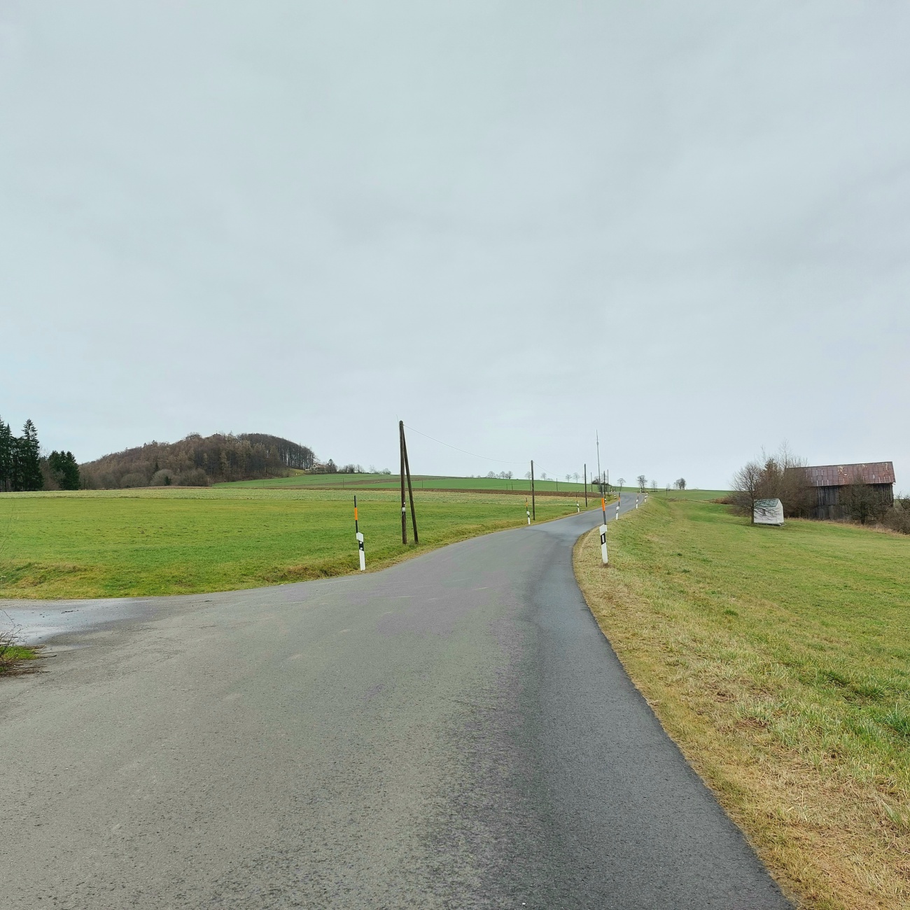 Foto: Martin Zehrer - Blick in Richtung Armesberg... grüne Wiesen und unfreundliches Wetter...<br />
Winter am 14. Januar 2023 bei +4 Grad Temperatur.<br />
 