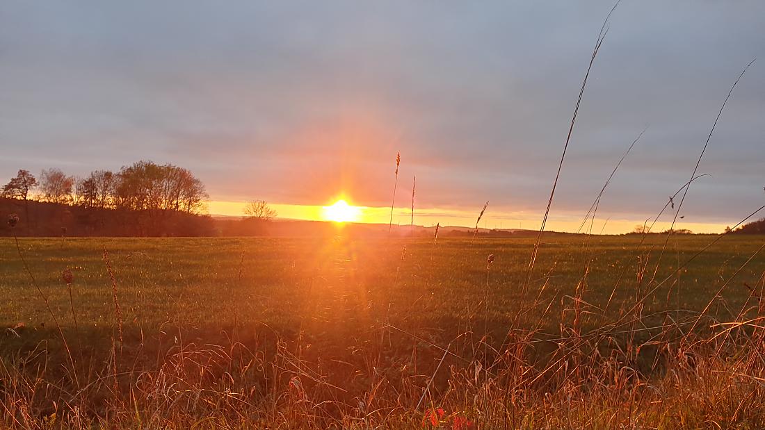 Foto: Martin Zehrer - 31. Oktober 2020 - Trotz nebeligen Tag guckte um ca. 16:45Uhr doch noch die Sonne vom Horizont hervor ;-) 