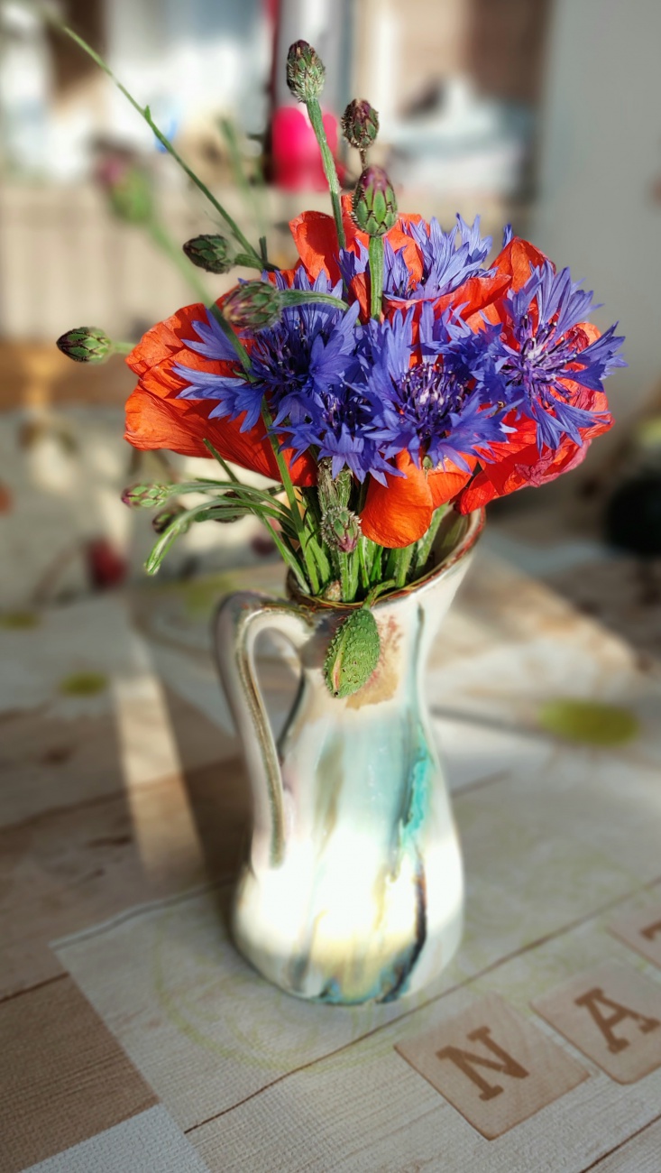 Foto: Martin Zehrer - Radfahr-Acker-Blumen 