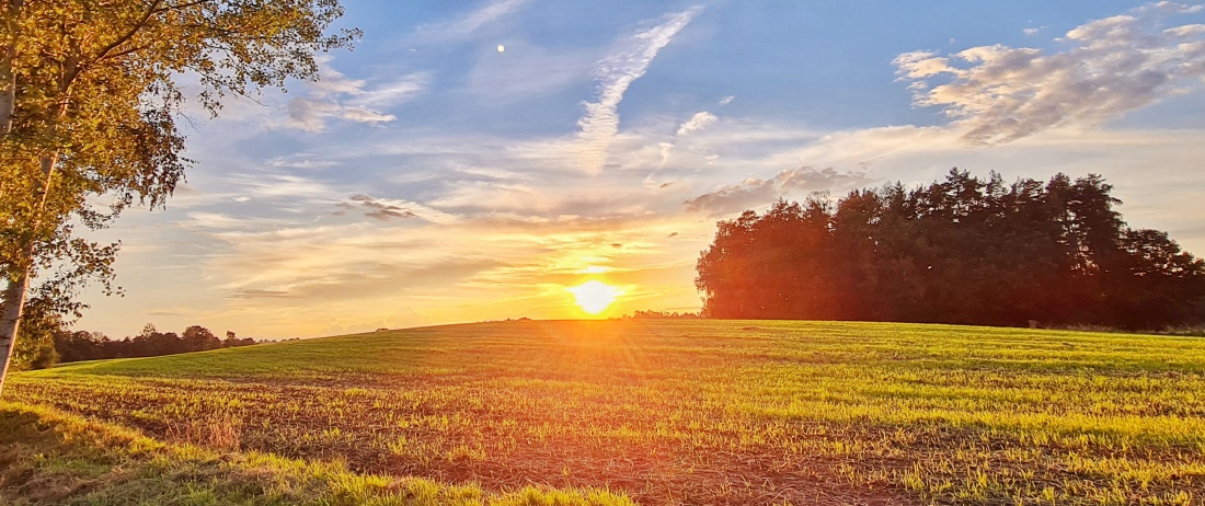 Foto: Jennifer Müller - Toller Sonnenuntergang zum Feierabend. Es wurde abends doch noch richtig sommerlich. Blick von Schwabeneggarten richtung Reuth.<br />
31.08.2021, ca. 20 Uhr, 17 Grad. 