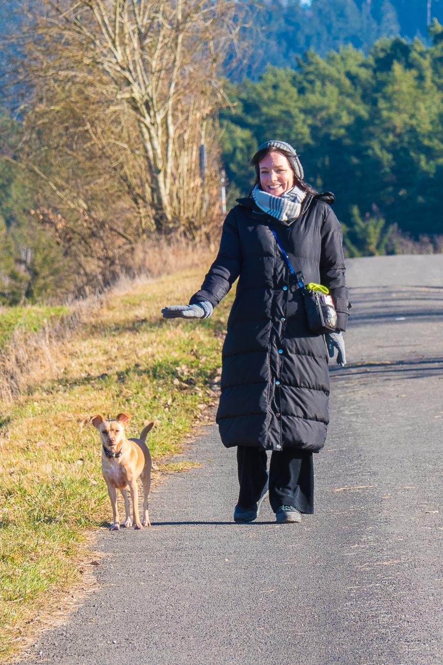 Foto: Martin Zehrer - An so einem herrlichen Tag gibt es nur eine richtige Entscheidung: Sein  Frauchen einpacken und raus in die strahlende Dezember-Sonne! 