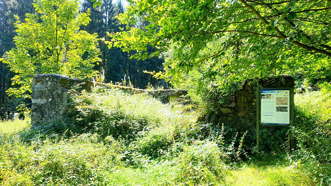 Foto: Martin Zehrer - Zissler-Haus, Ruine eines alten Bauernhauses im Zissler-Wald zwischen Godas und Zwergau....<br />
23. August 2020 