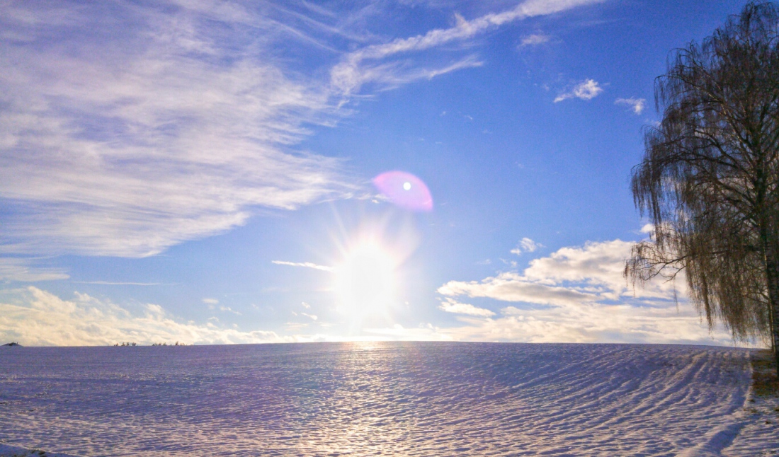 Foto: Martin Zehrer - Und es gibt sie doch noch... Sonnenschein bei Kötzersdorf am 27. Januar 2019.<br />
 