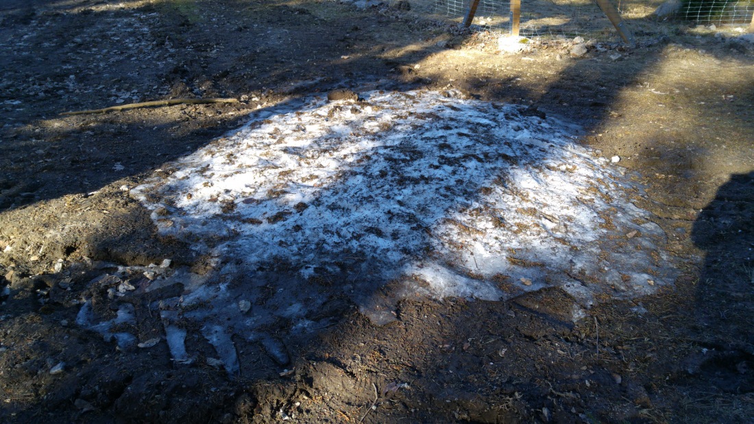 Foto: Martin Zehrer - Letzter Schnee im Steinwald, gesehen bei der Wanderung durch den Steinwald am 26. März 2017 in der Nähe des Gasthauses Waldhaus... 