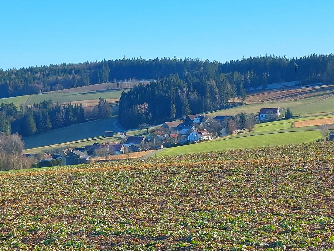 Foto: Martin Zehrer - Godas, das Zentrum!!! 