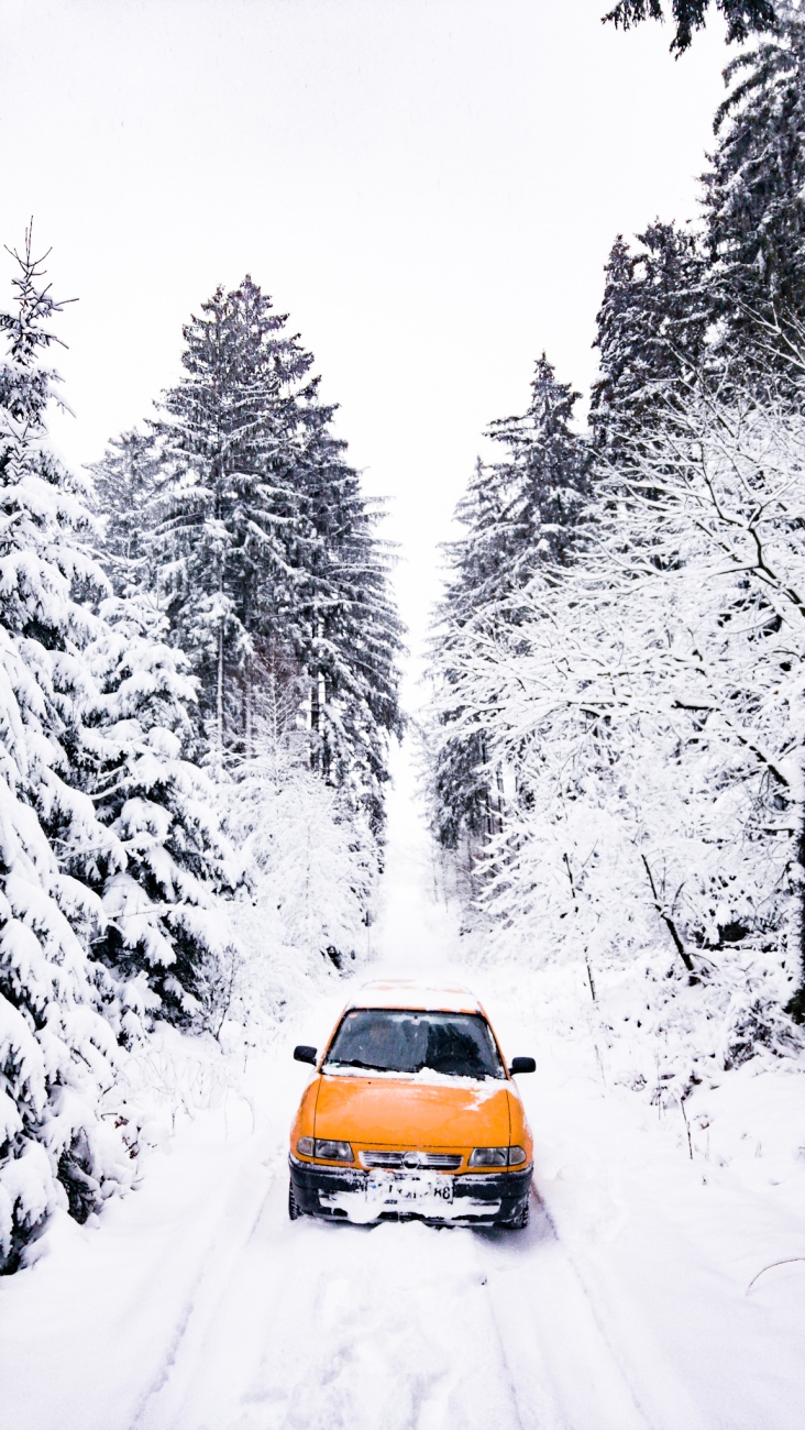 Foto: Martin Zehrer - Astrid im Schnee... 