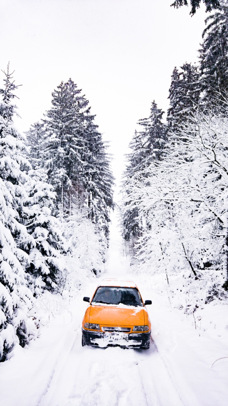 Foto: Martin Zehrer - Astrid im Schnee... 