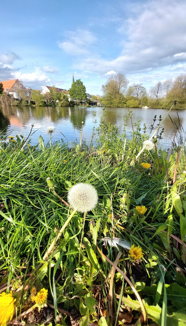 Foto: Martin Zehrer - Kemnather Stadtweiher: Frühling kehrt zurück  :-)<br />
<br />
Temperaur um 17:30 Uhrca. +8 Grad.<br />
<br />
Das Wetter war den ganzen Tag durchwachsen. <br />
Sonne, Wolken, Regen und Graupel  