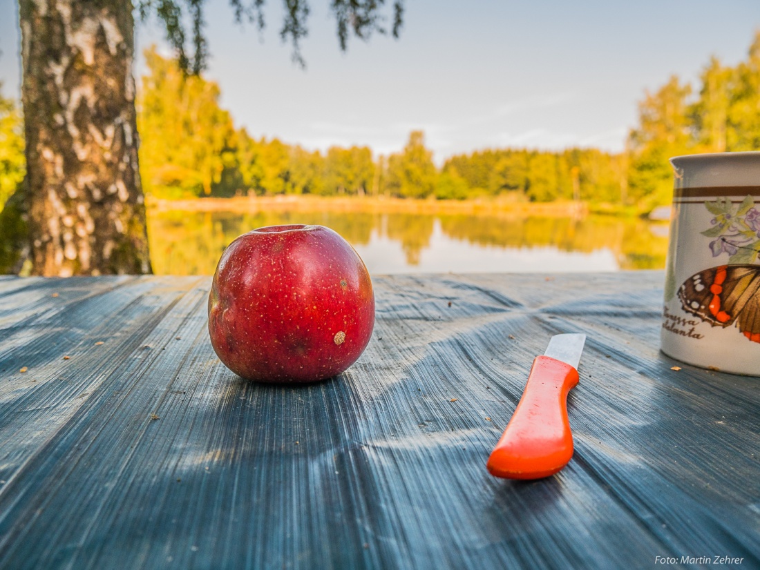 Foto: Martin Zehrer - Zwiegespräch mit einem Apfel: Da liegt er nun und wartet aufs Entkleiden...<br />
<br />
Apfel-Essen während der Radtour nach Godas :-) 