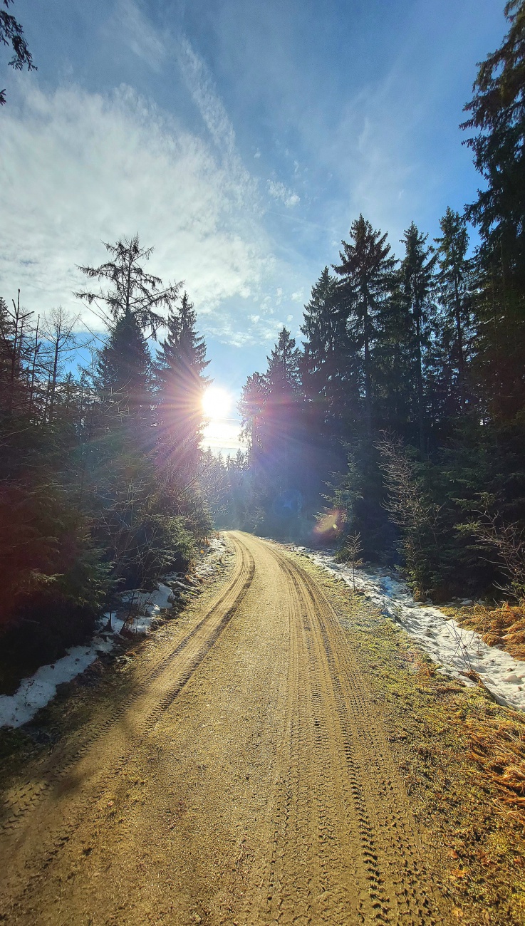 Foto: Martin Zehrer - Winter wandern im neusorger Wald... 