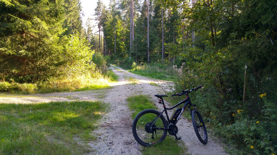Foto: Martin Zehrer - E-bike-Fahrrad-Tour ins Ungewisse.<br />
<br />
Bei der ehemaligen Bierfilz-Firma Götz fuhr ich in den Wald hanein und kam an einen wunderschönen Ende wieder raus ;-) 