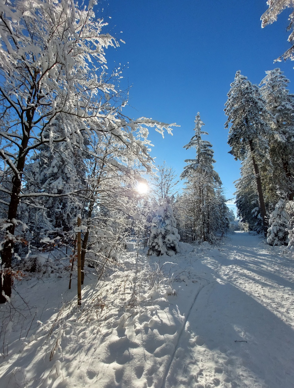 Foto: Martin Zehrer - Wunderschöne Winterzeit am 13. Dezember 2022, am Waldstein.<br />
<br />
Es war ein extrem sonniger, klarer Tag am Waldstein im Fichtelgebirge.<br />
Die Temperatur ging von Früh -16 Gr 