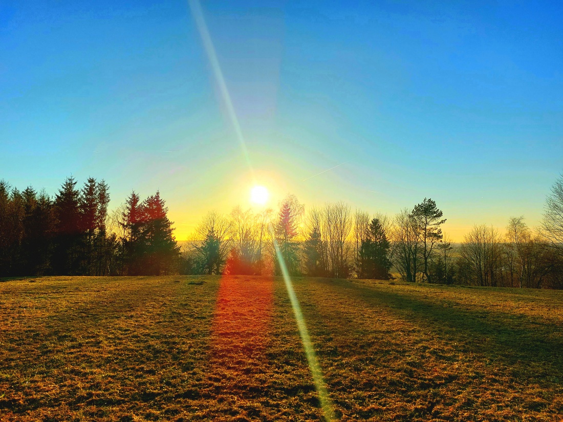 Foto: Martin Zehrer - Die Sonne wandert gen den Horizont... Ein wunderschöner Spaziergang zu Zweit. Der Frühling ist im Anmarsch. 