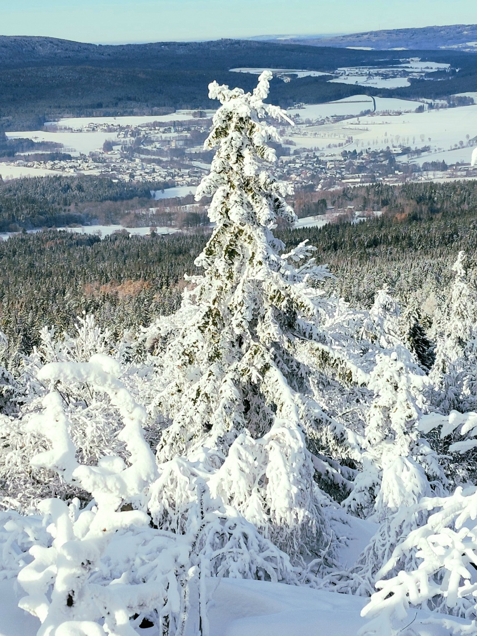 Foto: Martin Zehrer - Dick mit herrlichem Schnee bezuckert und der Tag ist wunderschön Sonnig. 