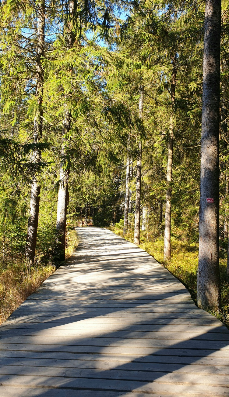 Foto: Martin Zehrer - Ein herrlicher Herbst-Wandertag zu zweit rund um den Fichtelsee! <br />
<br />
28. Oktober 2021 