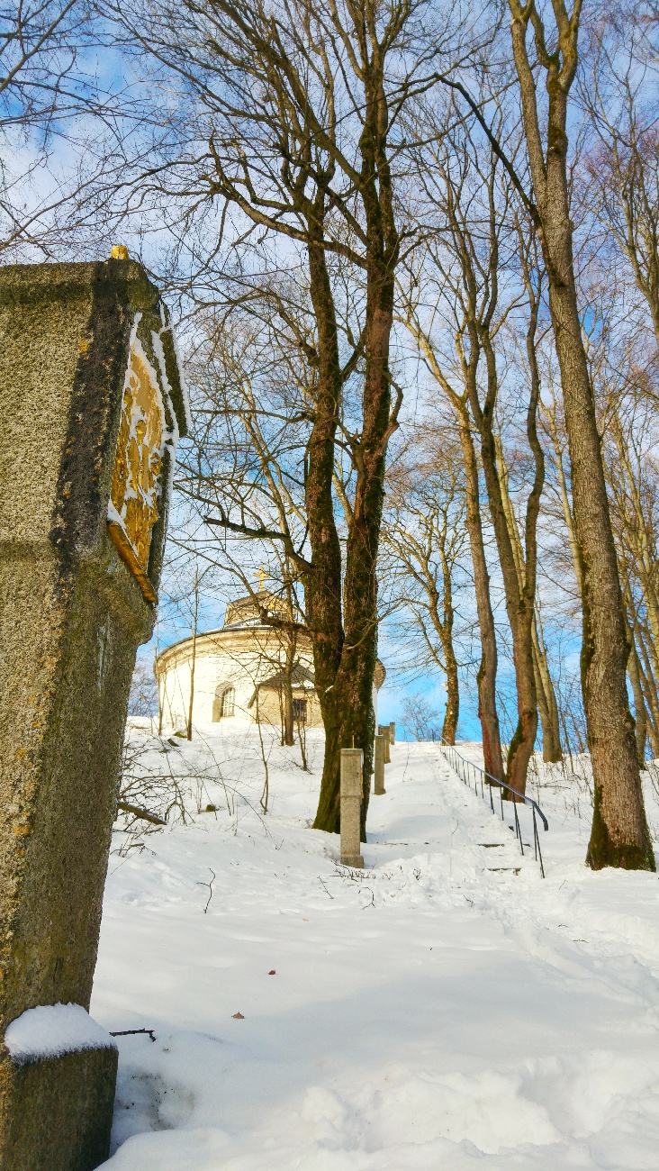 Foto: Jennifer Müller - Unglaublicher Spaziergang von Godas aus zum Armesberg hoch bei strahlender Sonne und -3 Grad am 31.01.2021 