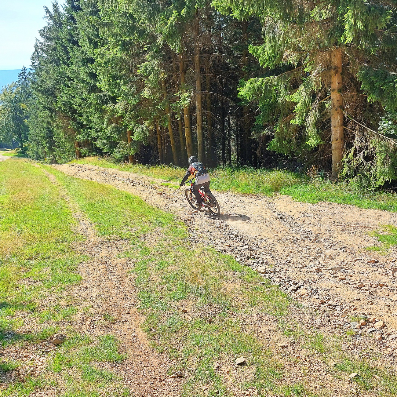 Foto: Martin Zehrer - Downhill runter vom Ochsenkopf-Gipfel ins Tal. <br />
Hoch kommt mann wieder mit der Seilbahn. 